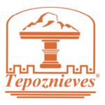 Tepoznieves, Nieves de Dioses.
